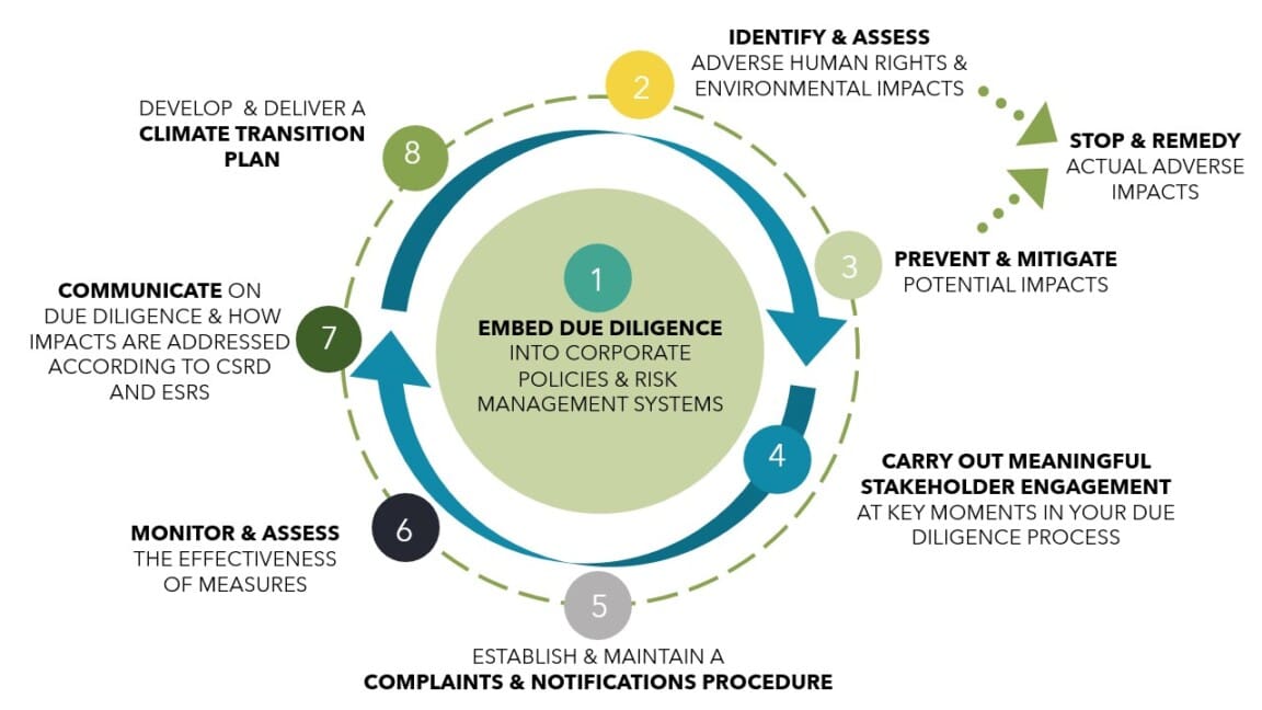 Csdd Effective CSDDD - What could it mean for your business and how to prepare?